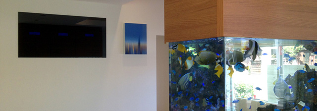 CASE 03 刈谷なりたクリニック image CASE 03